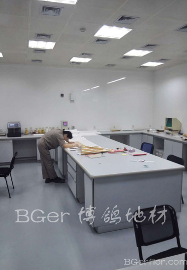 實(shí)驗(yàn)室高分子地板-4